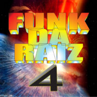 Funk da Raiz vol 4