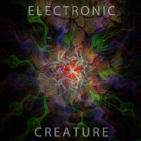 Electronic Creature
